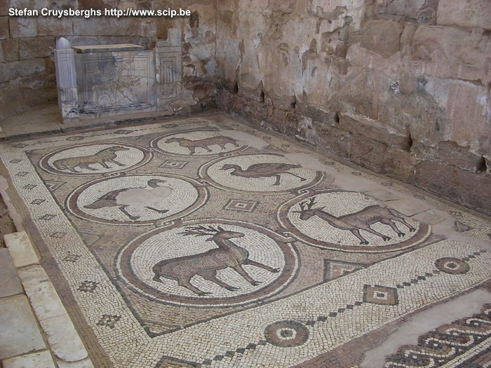 Petra - Mosaics Mosaics from the Roman period. Stefan Cruysberghs